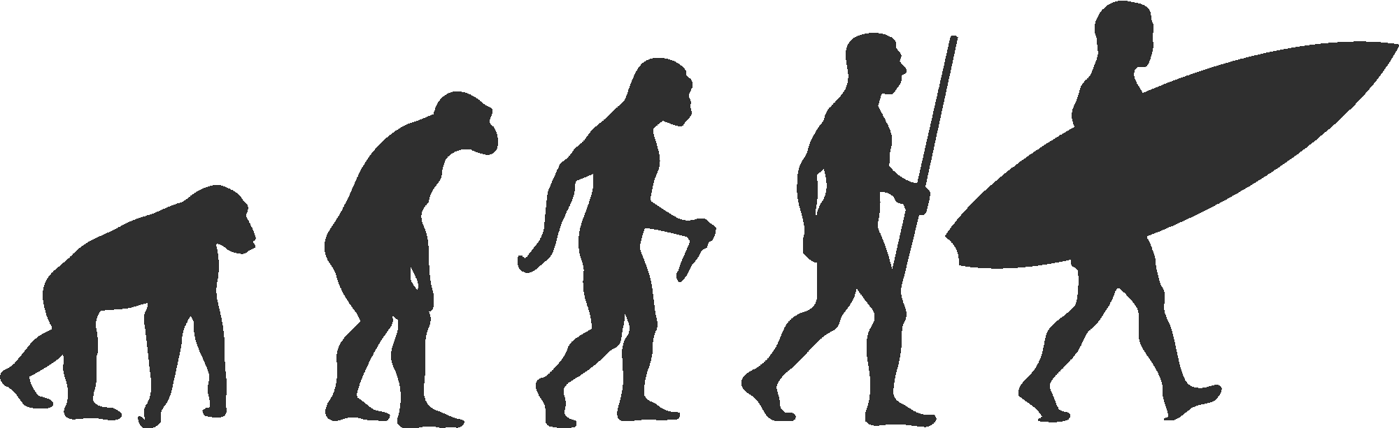 Surfer Evolution