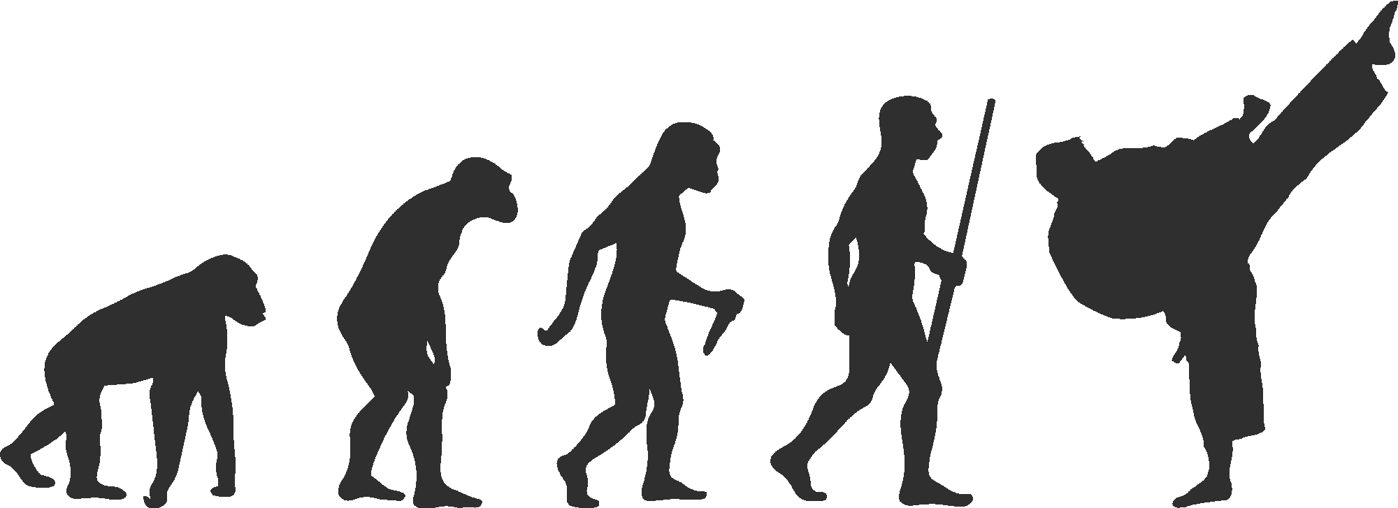 Taekwondo Evolution