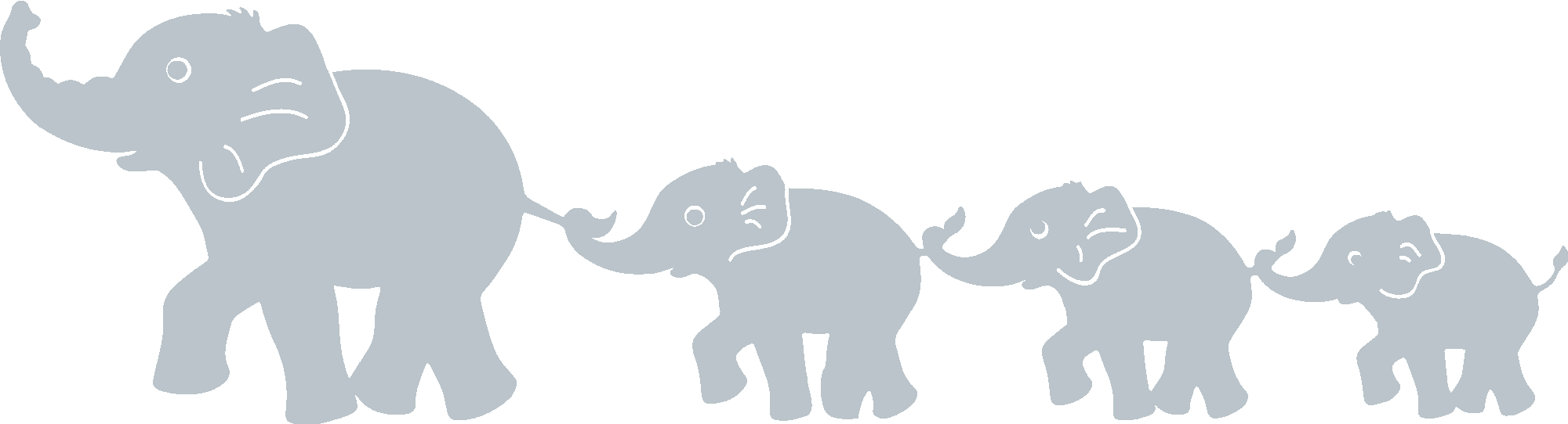 Elephant Family