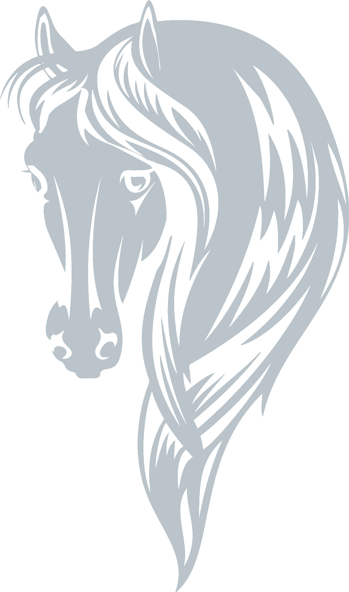 Horse Head Stylish