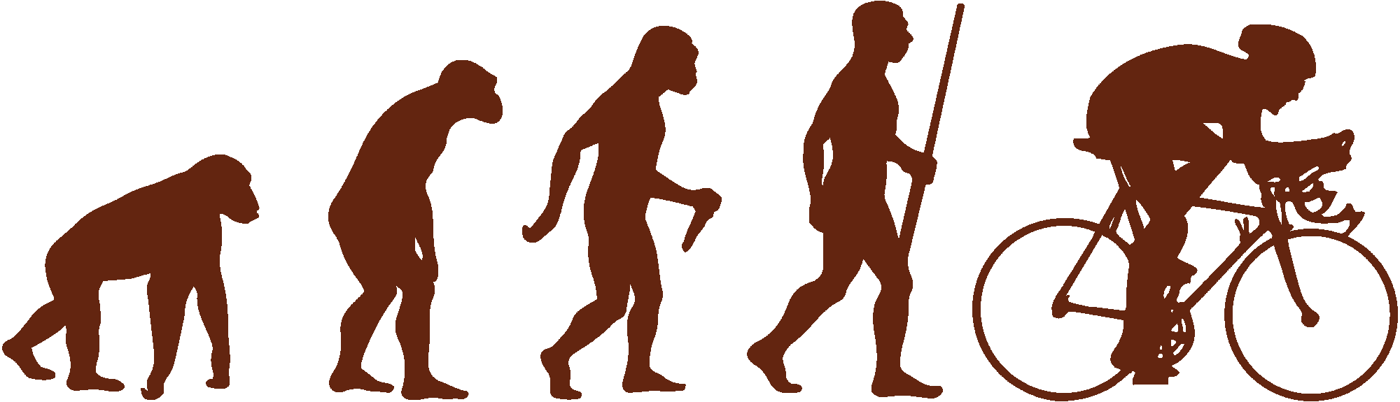 Cyclist Evolution