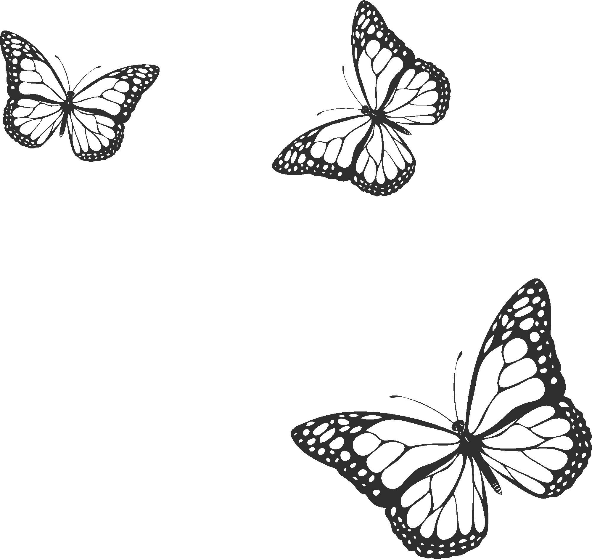 Butterflies Composition