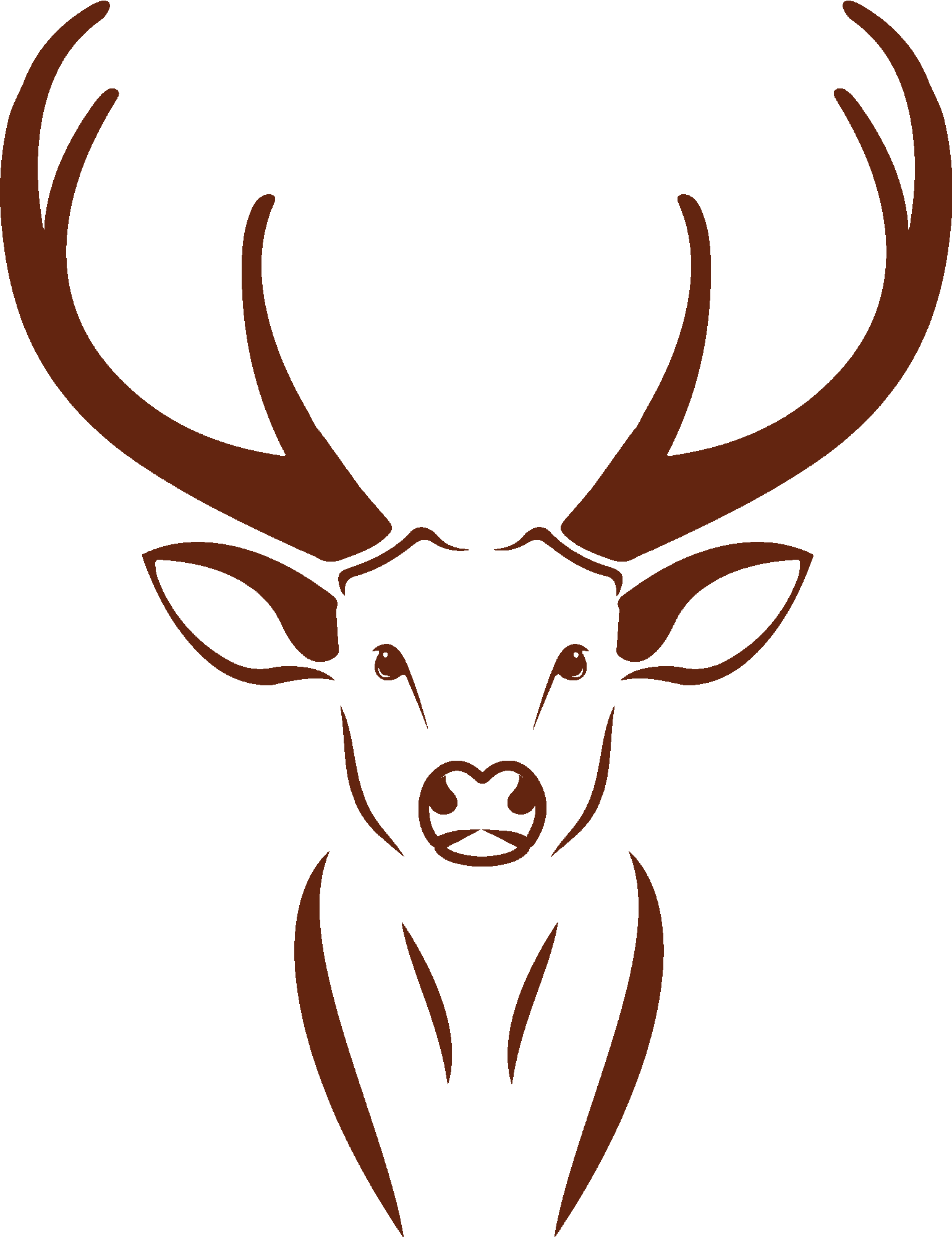 Stag Deer