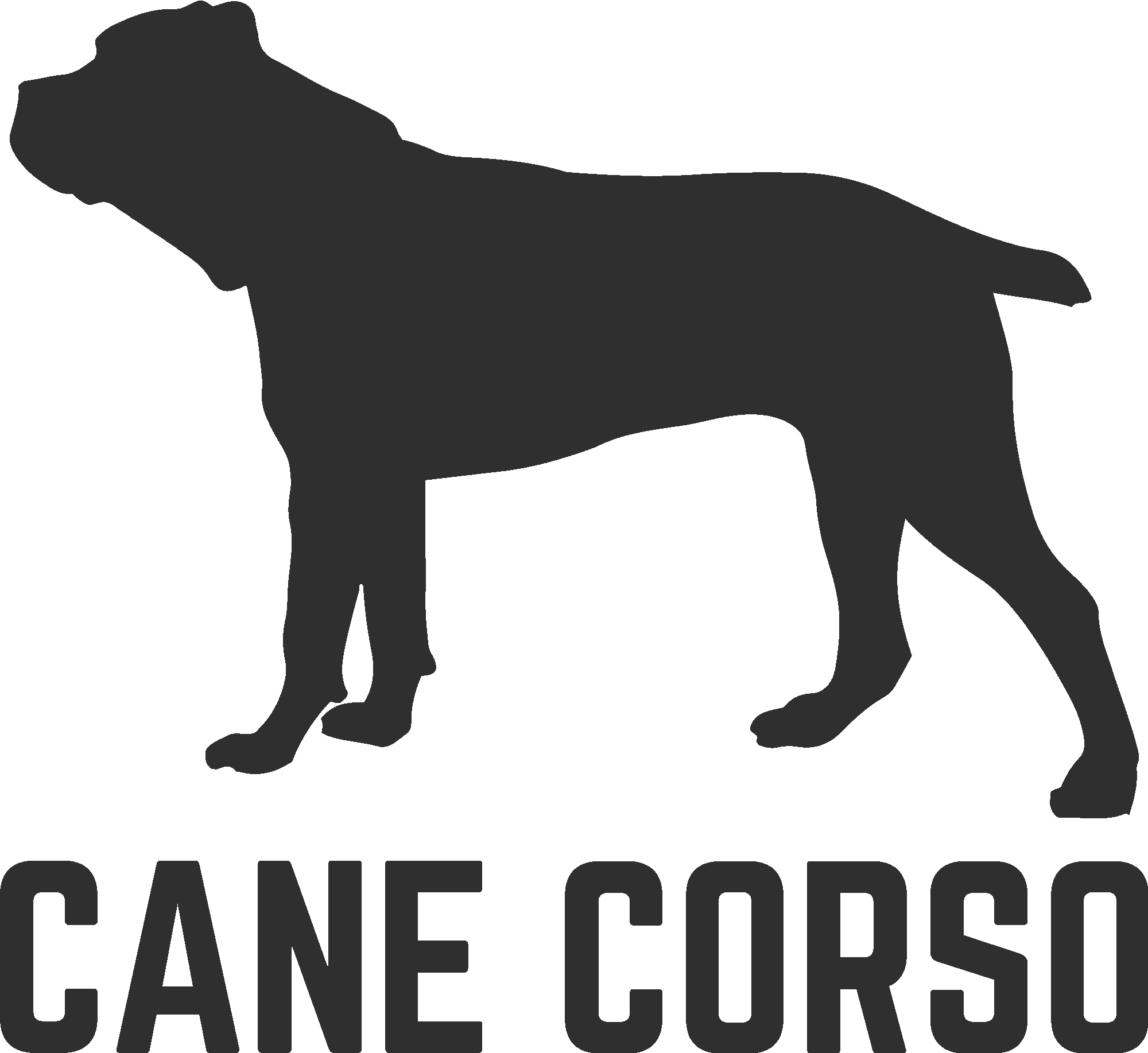 Cane Corso Illustration