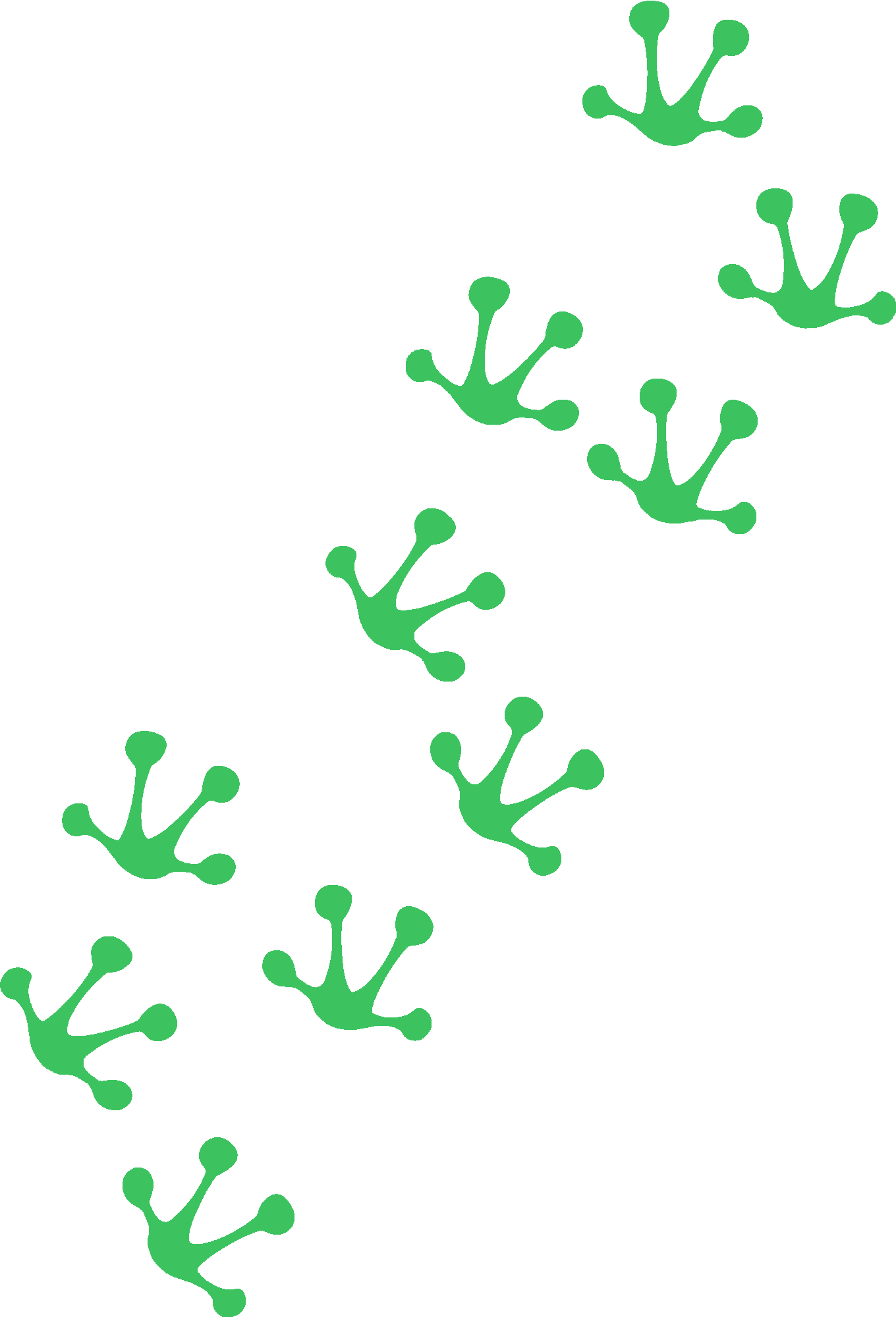 Frog Track