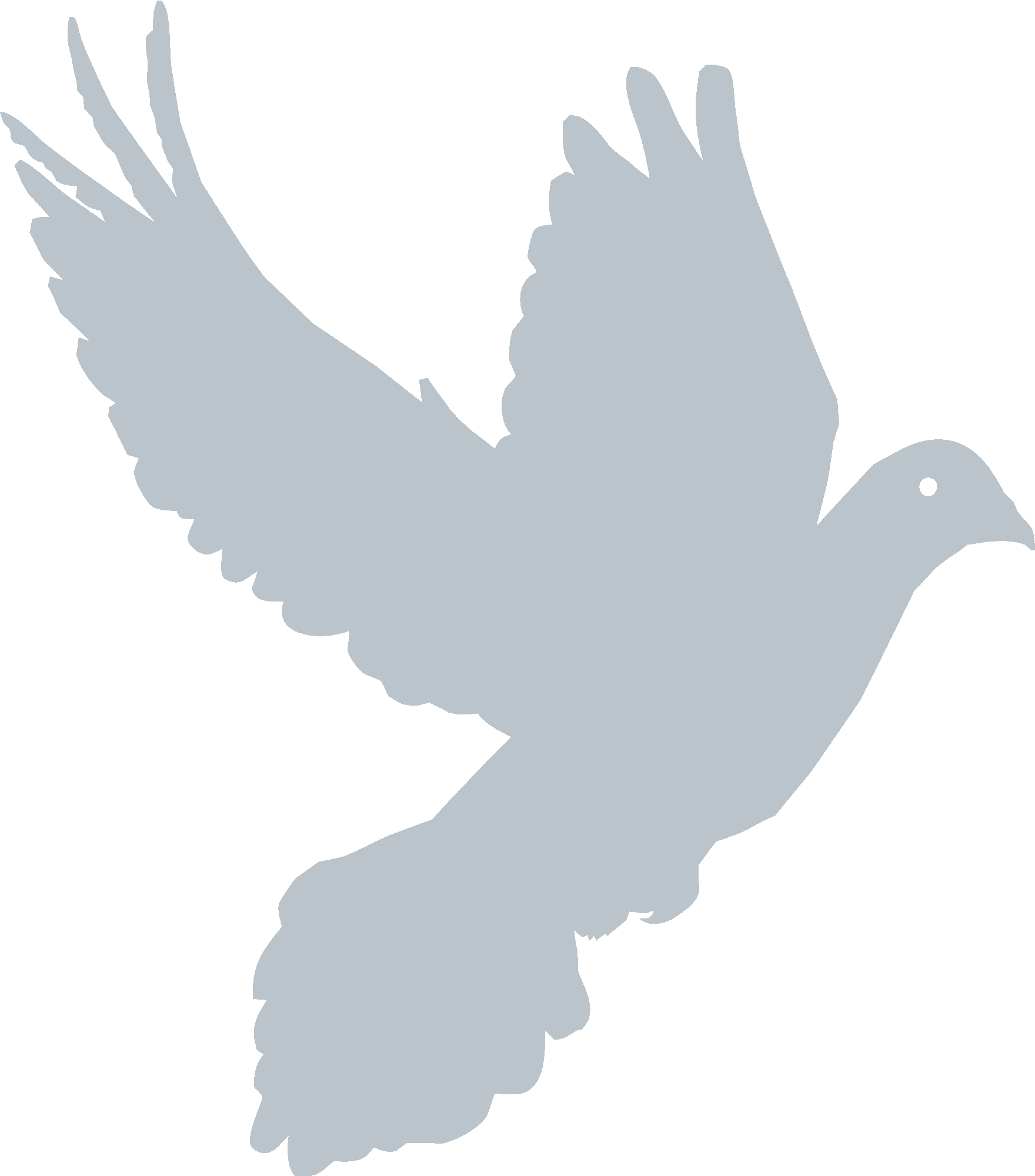 Dove Bird
