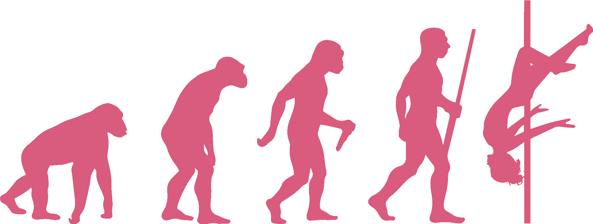 Pole Dancer Evolution