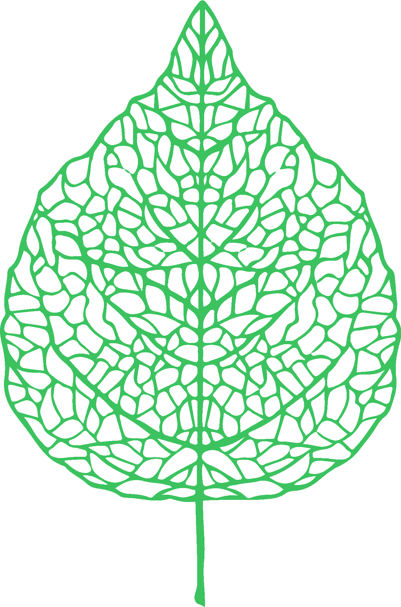 Leaf