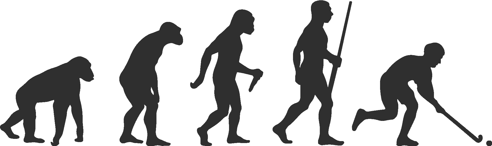Field Hockey Evolution