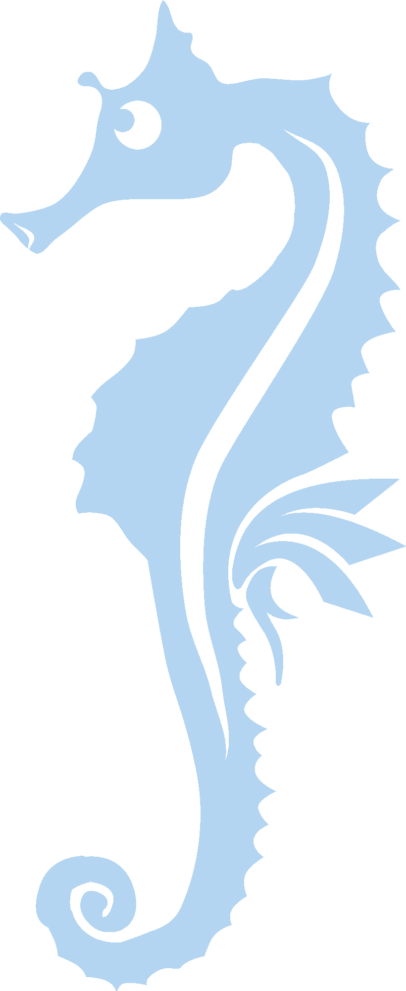 Seahorse