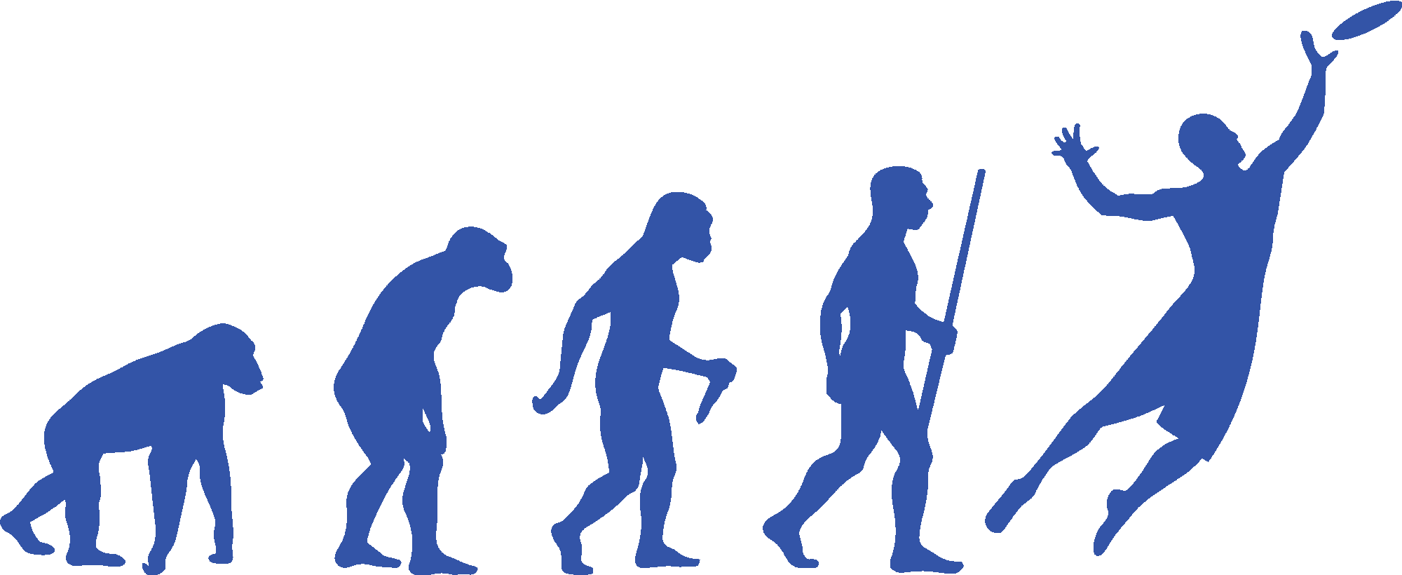 Frisbee Evolution