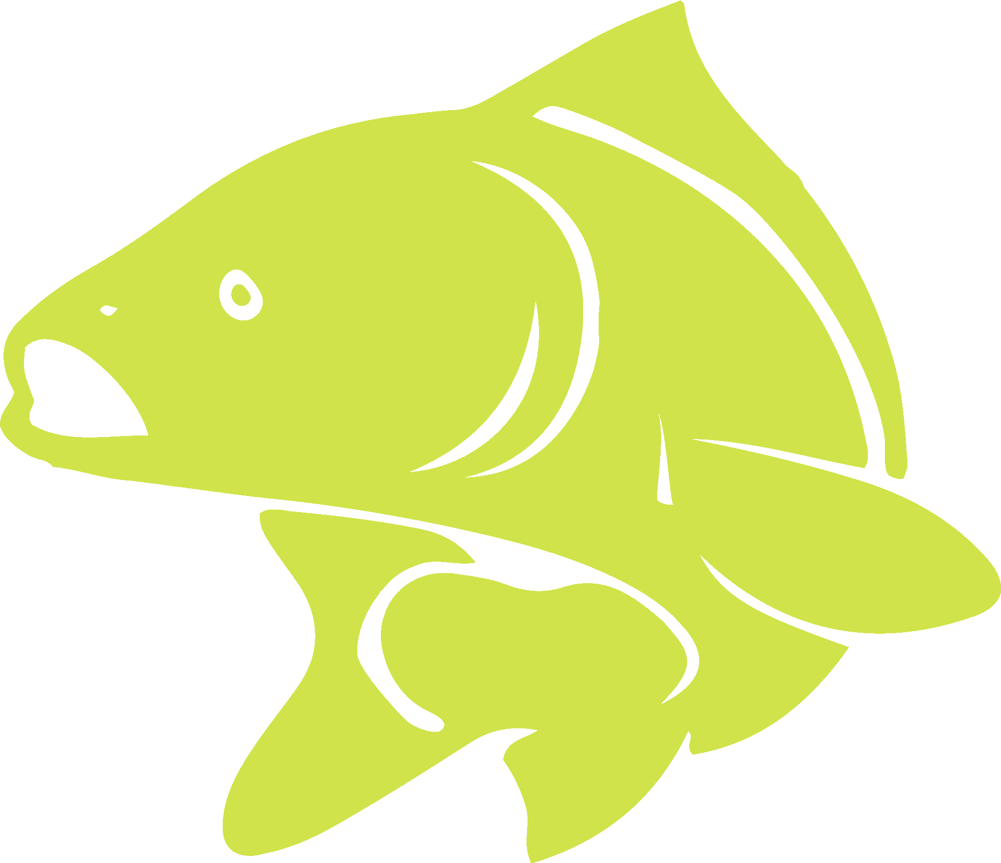 Carp Icon
