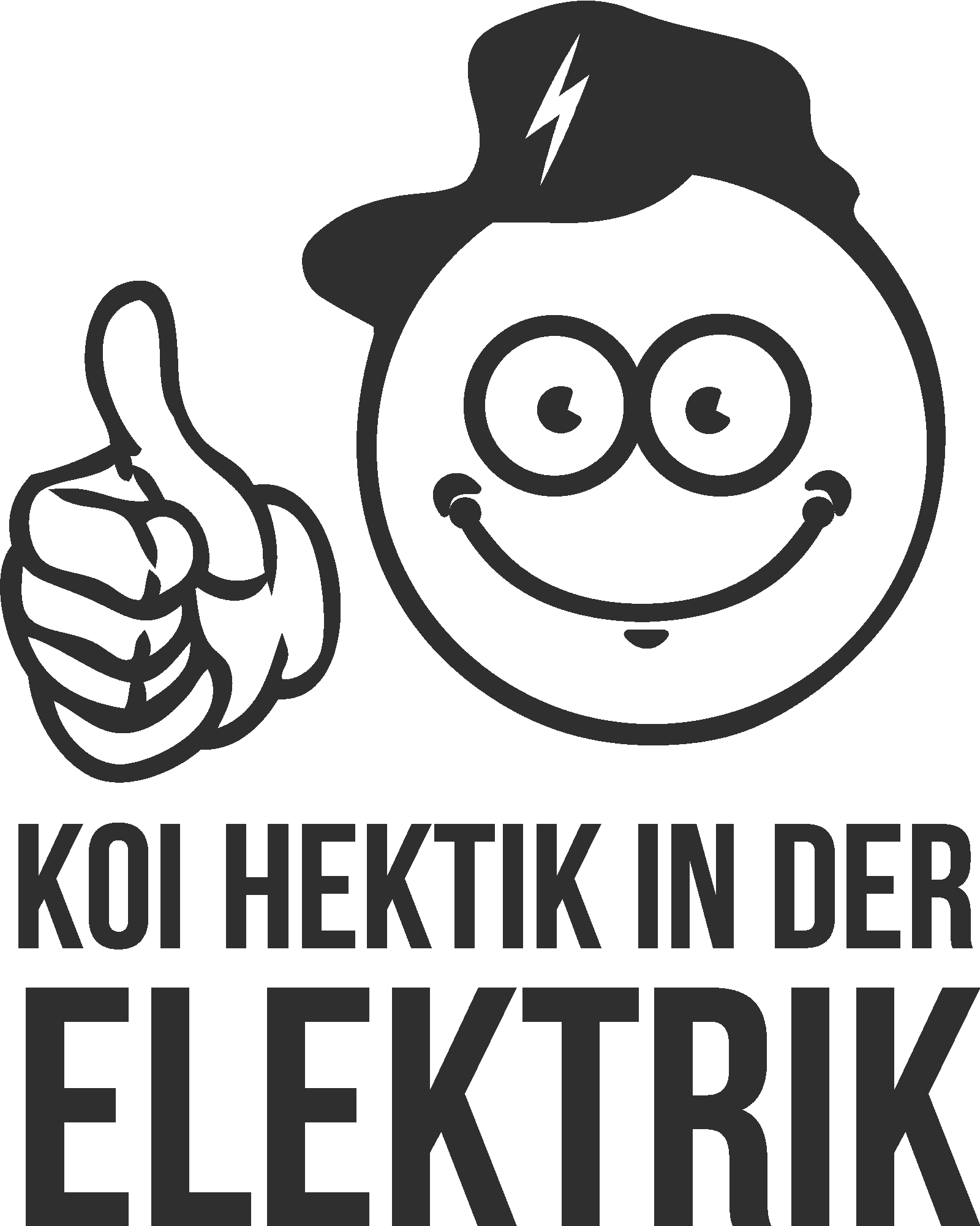 Koi Hektik in der Elektrik