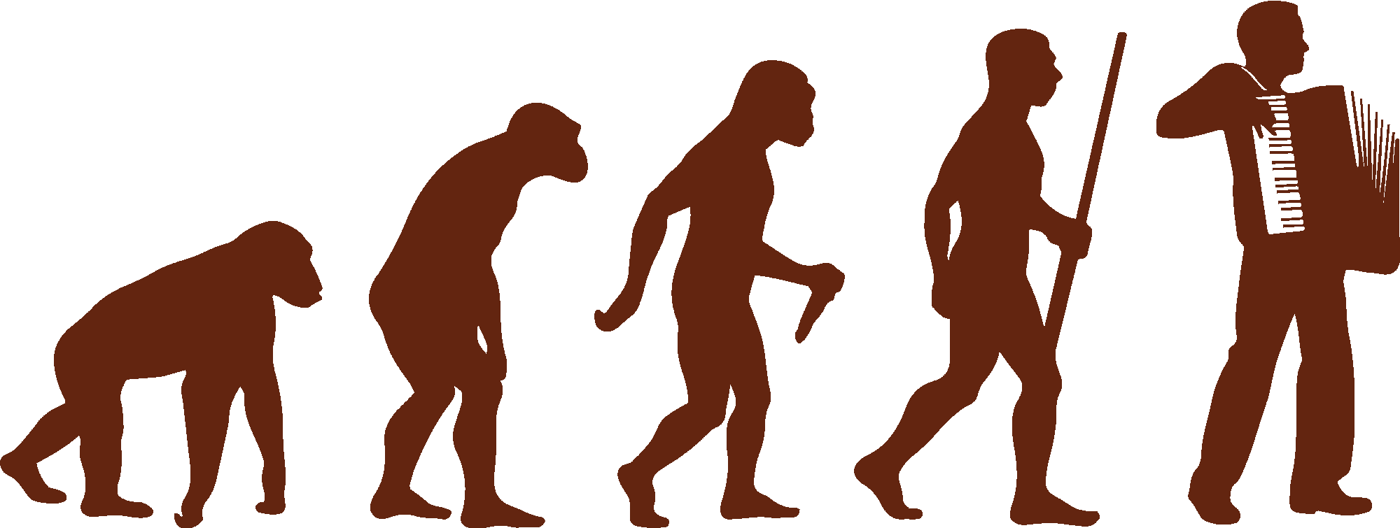 Accordionist Evolution