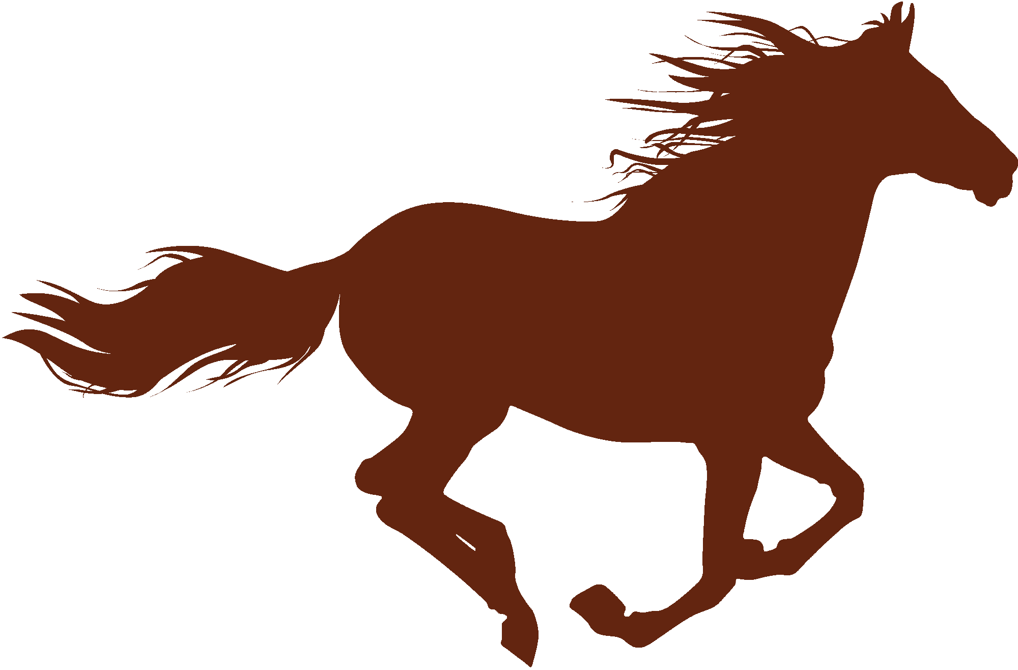 Horse Running