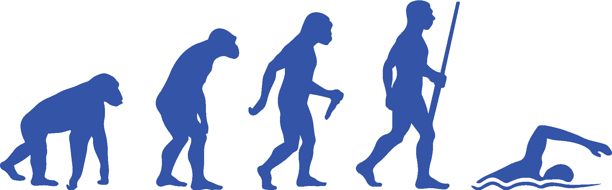 Swimmer Evolution