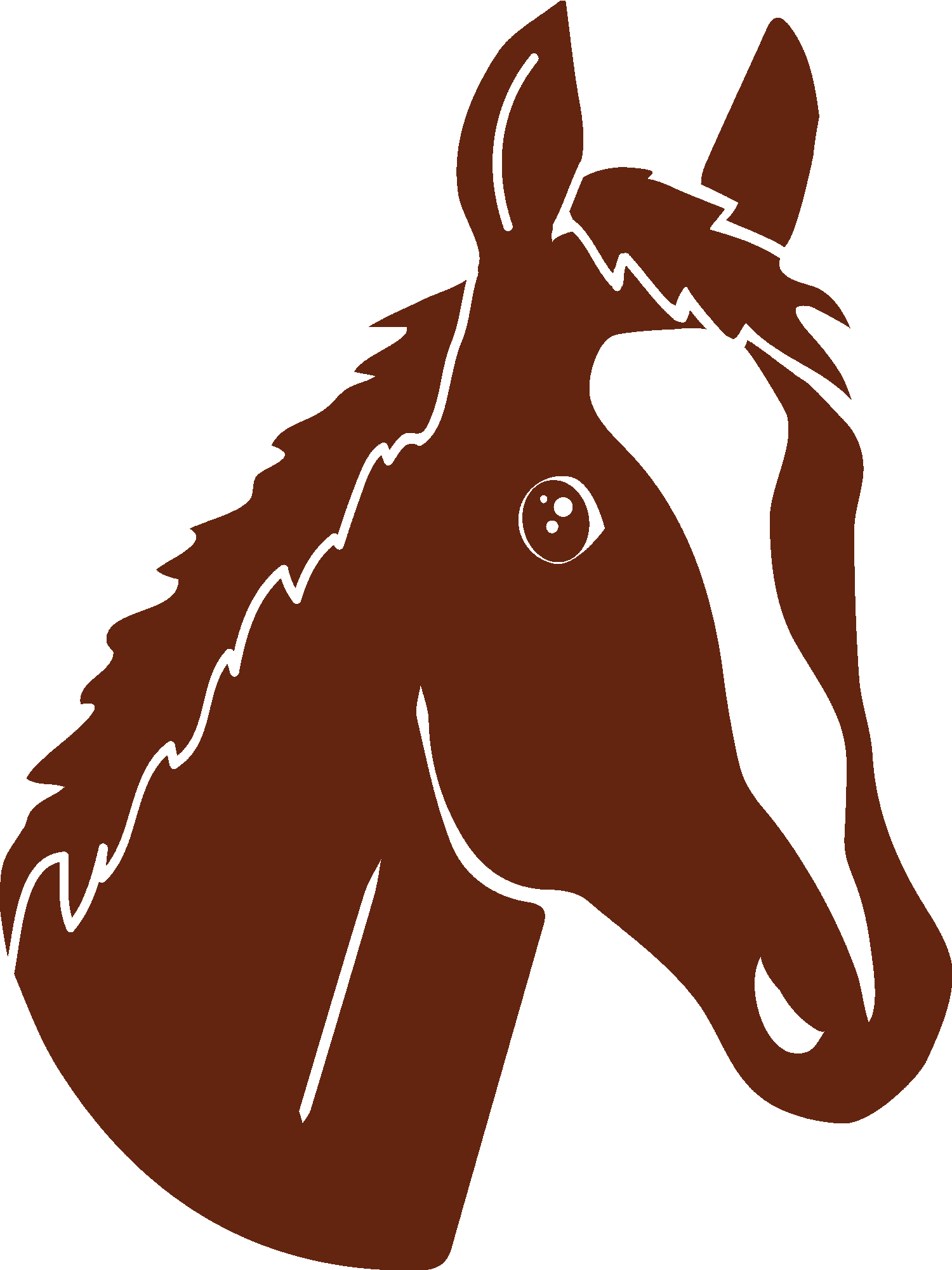 Horse Illustration