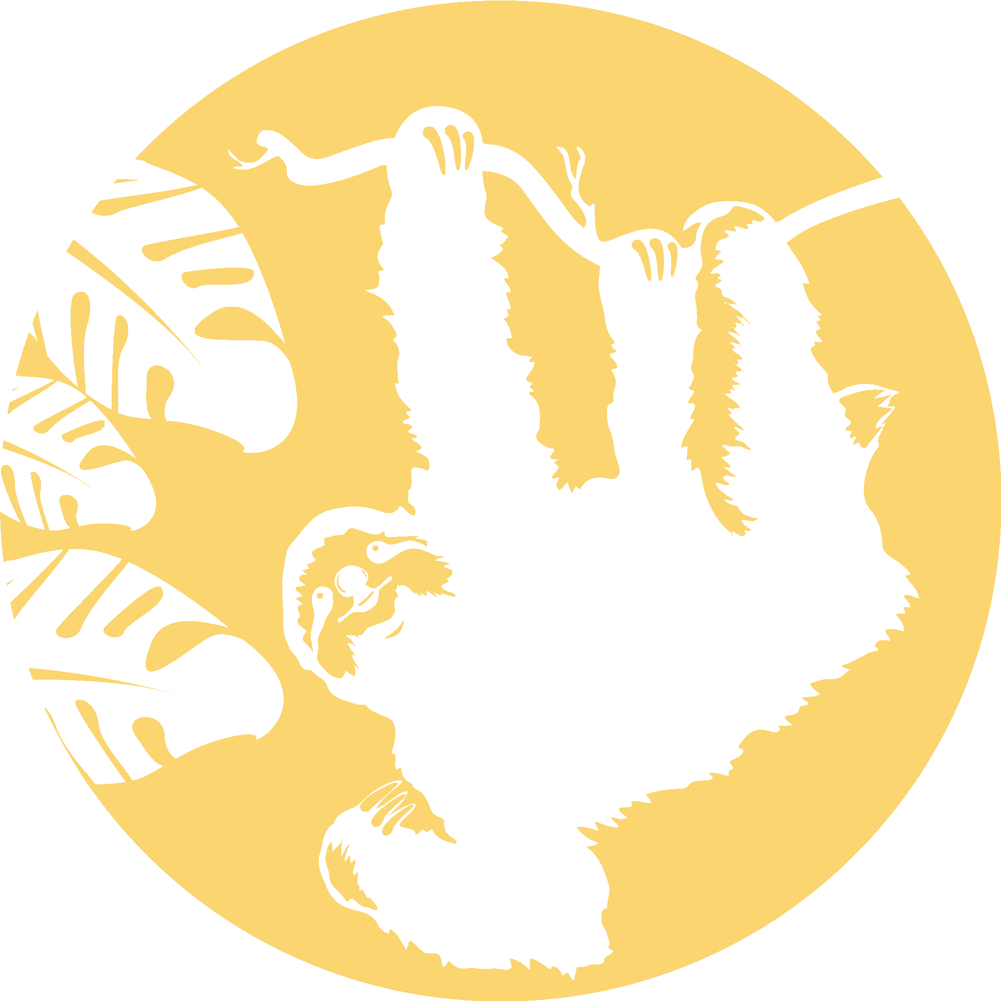 Sloth In Moonlight