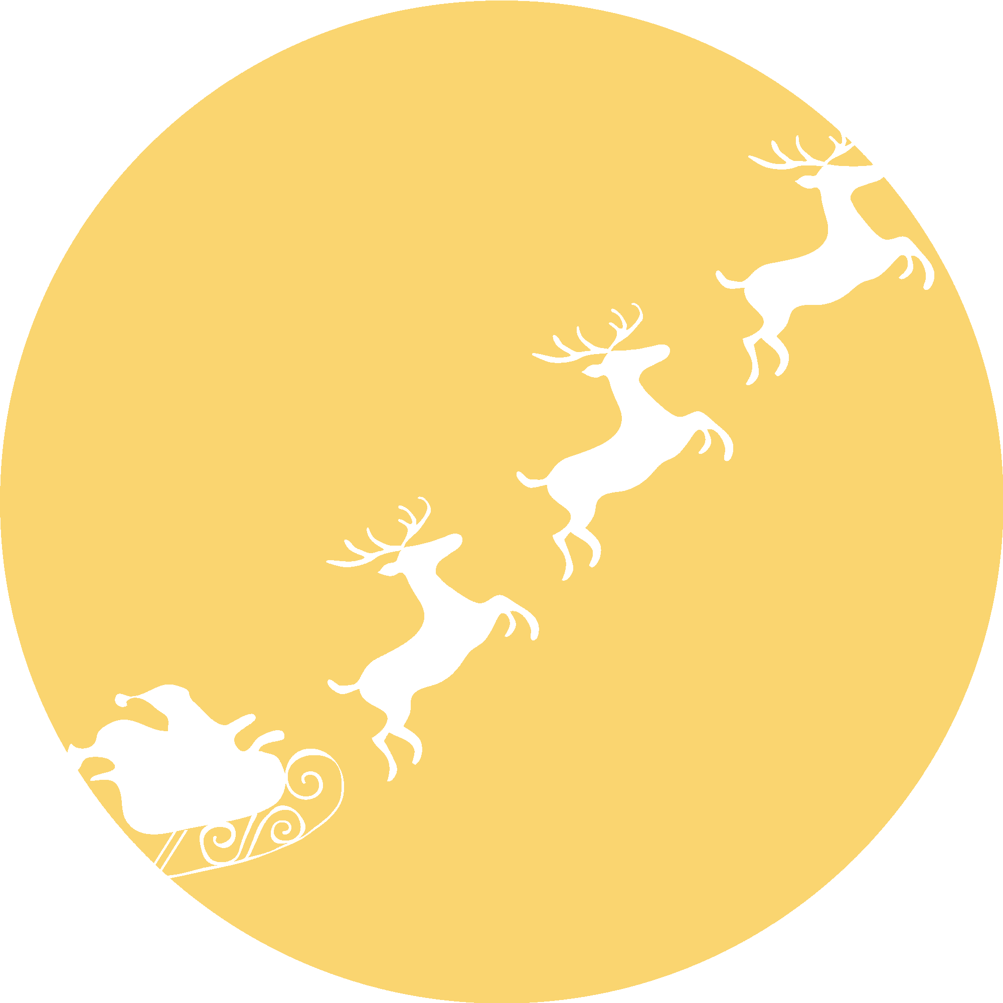 Santa In Moonlight