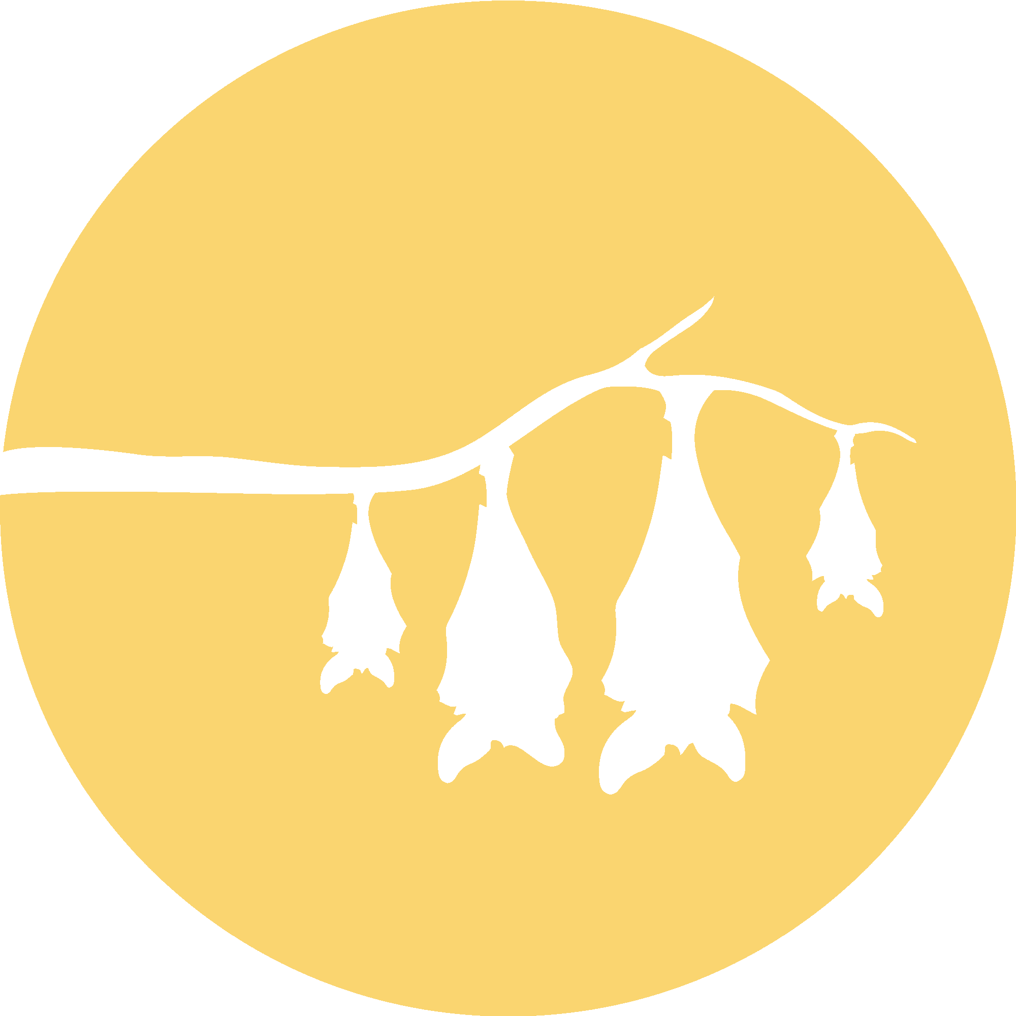 Bat Family Moonlight