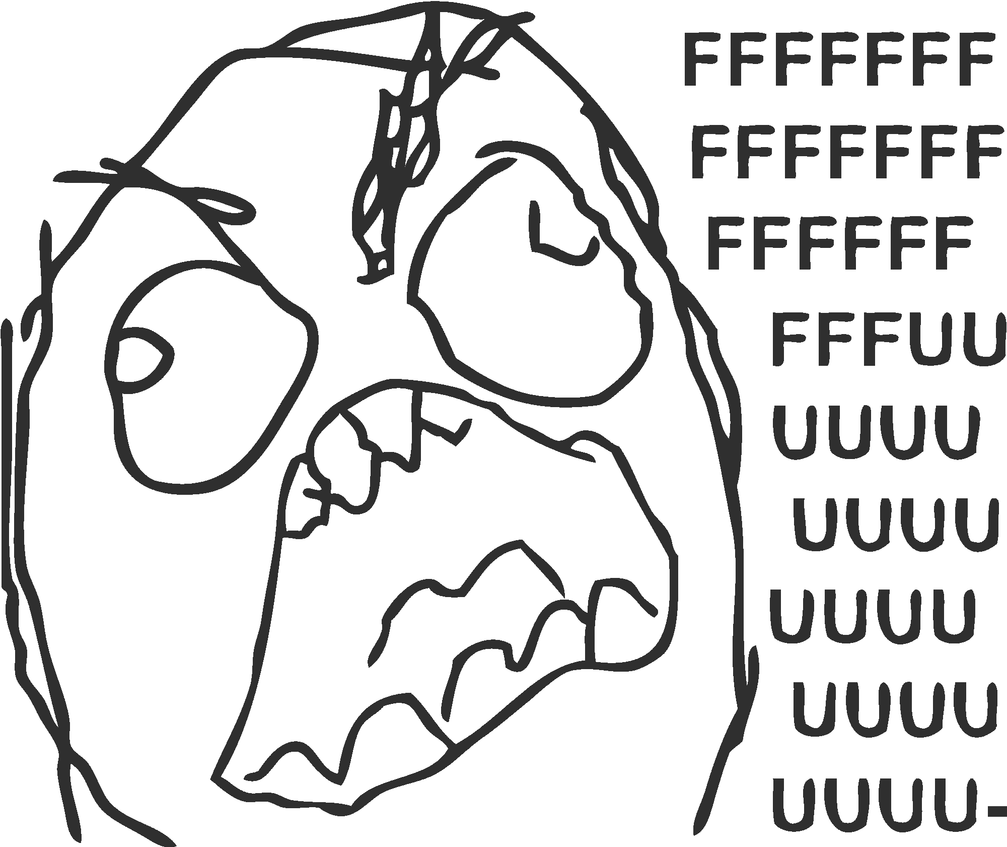 Fuuuuu Meme