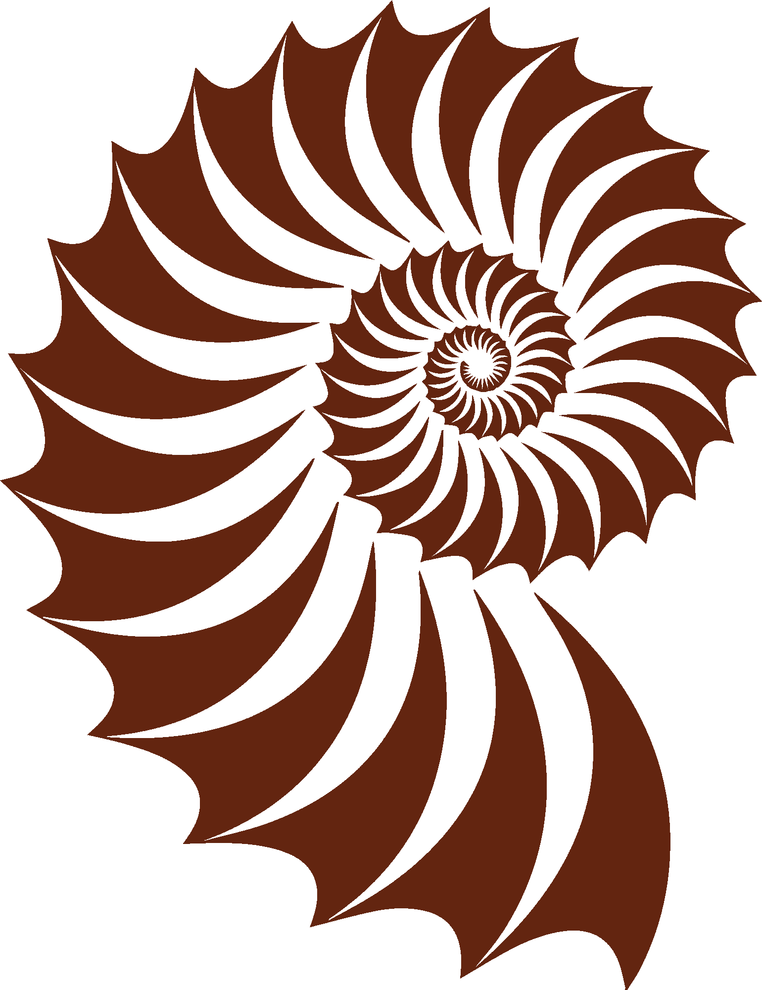 Prehistoric Shell Fossil