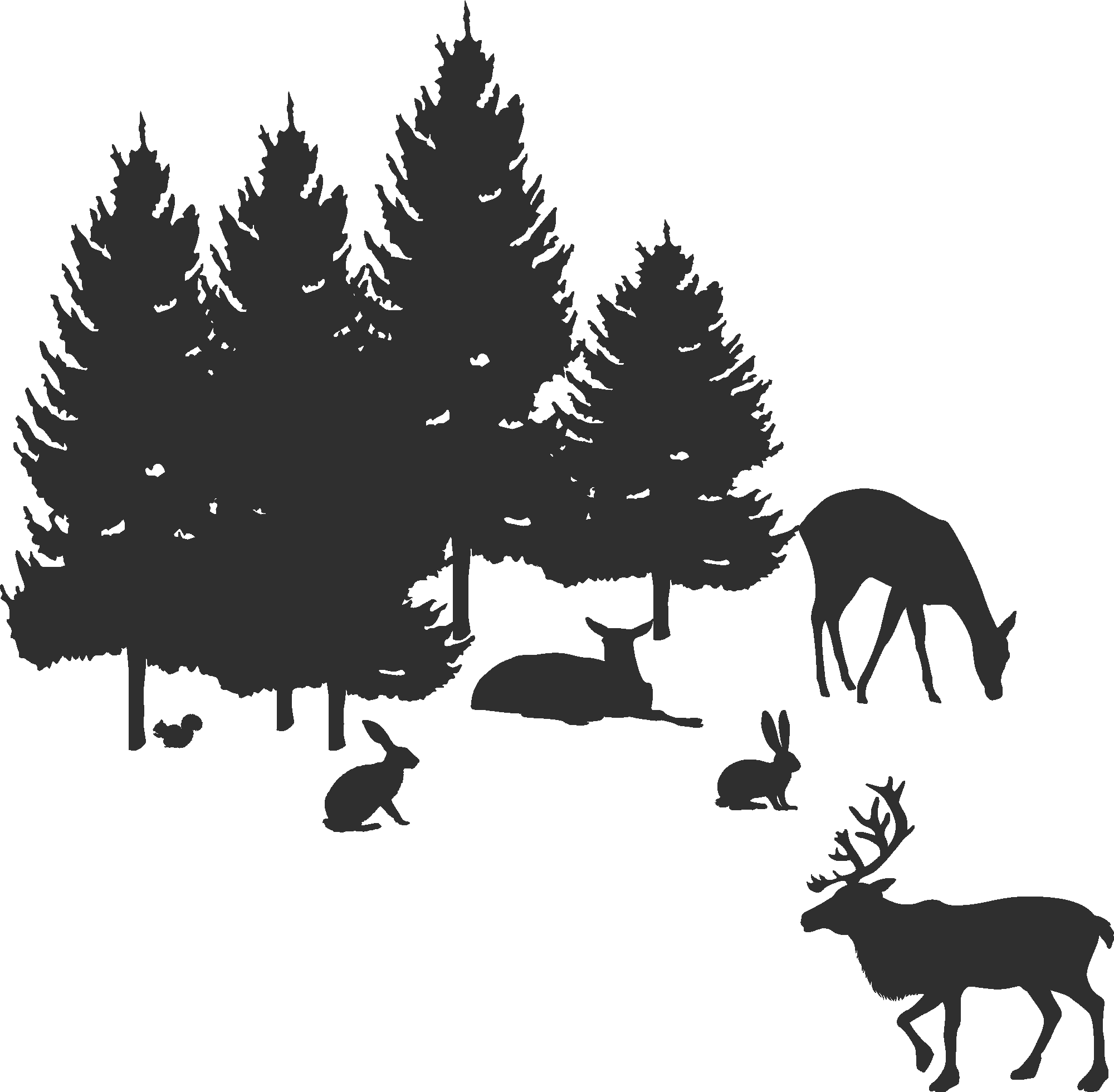 Forest Life