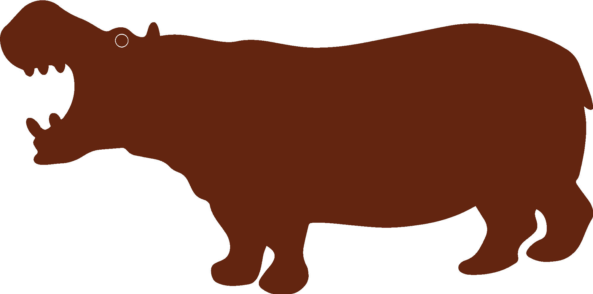 Hippopotamus