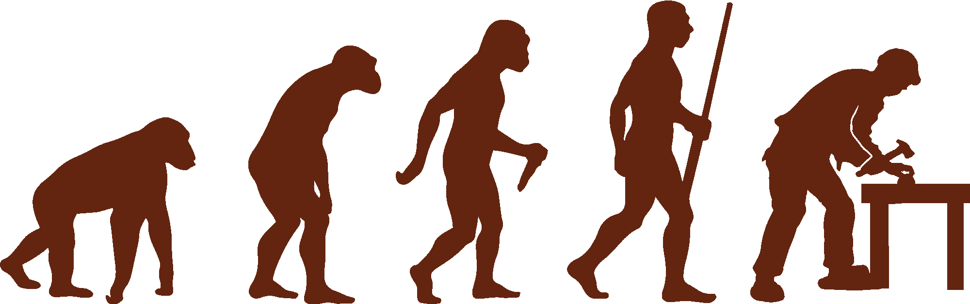 Carpenter Evolution