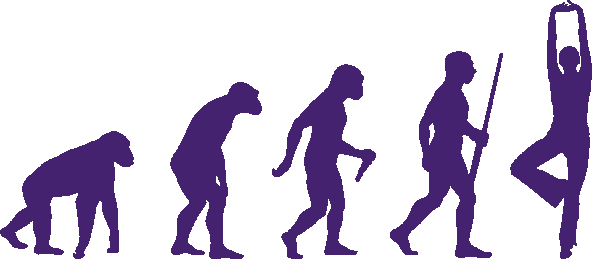 Meditation Gymnastics Evolution