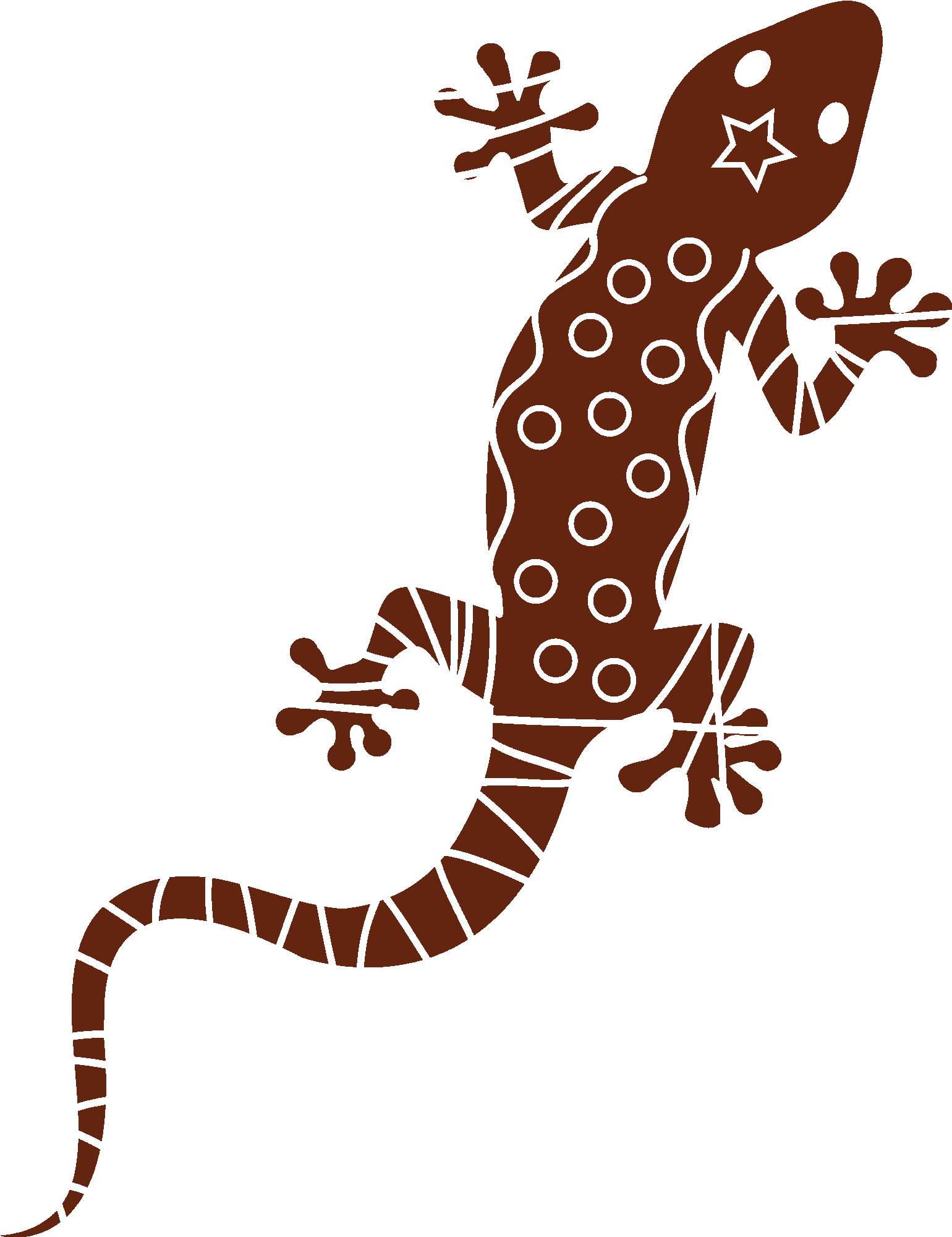 Gecko Climbing