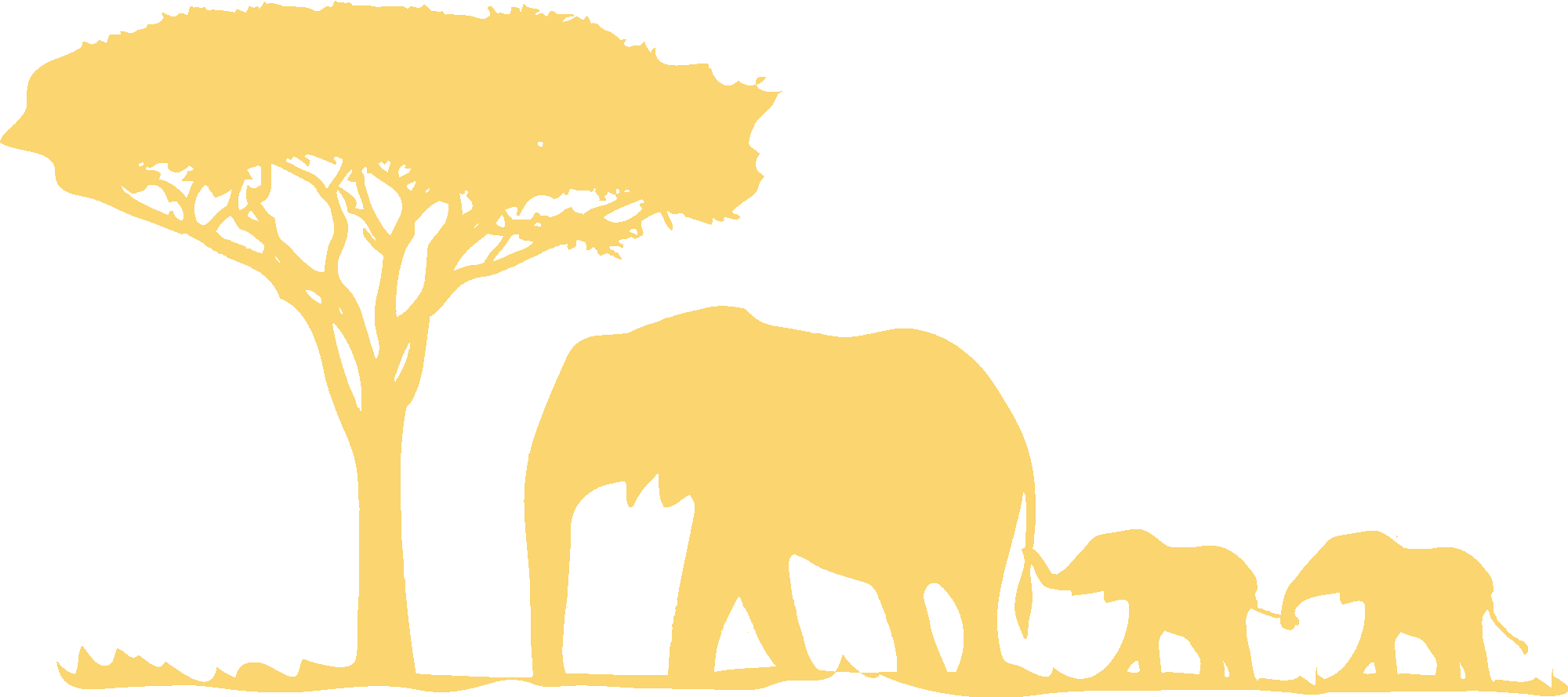 Elephant Family Landscape