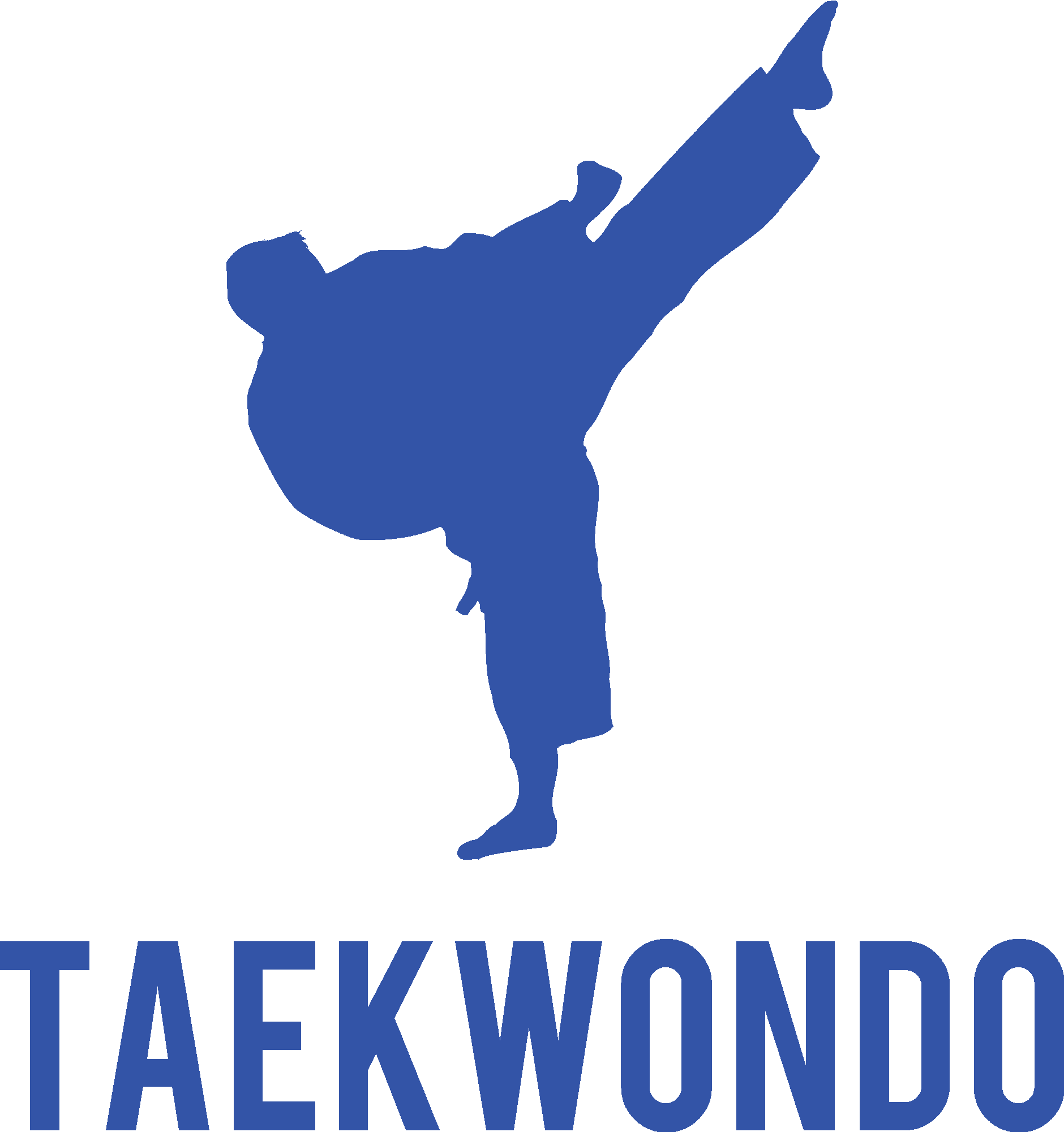 Taekwondo