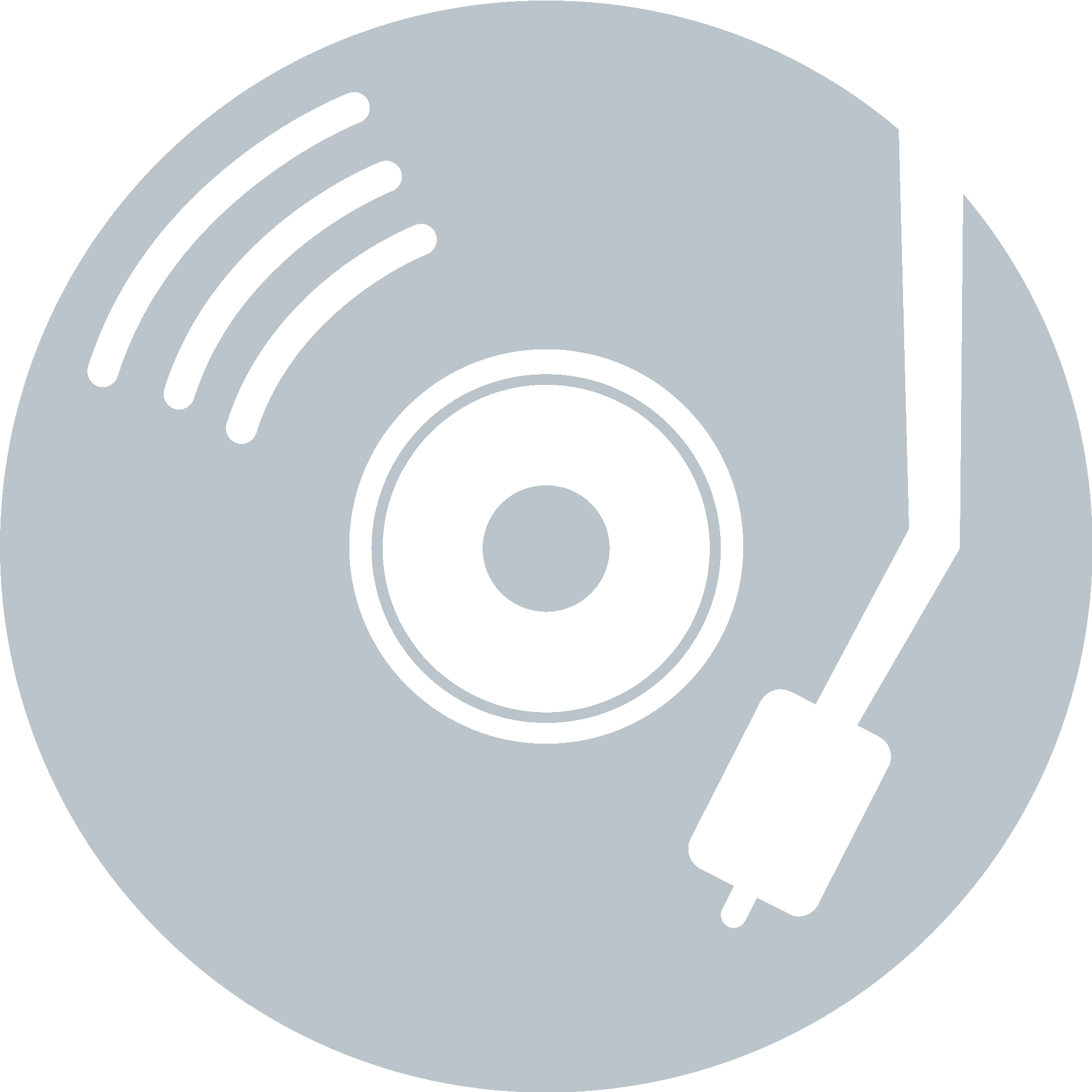 Vinyl Retro Icon