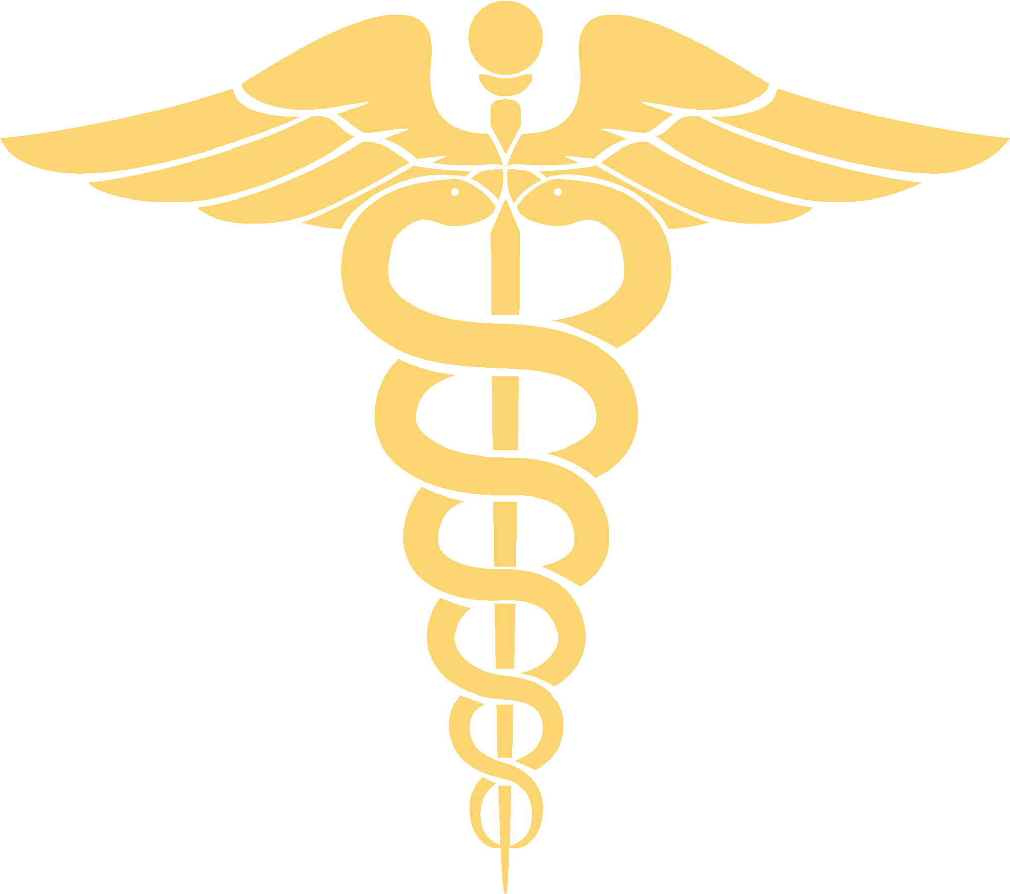 Caduceus Medical Corps