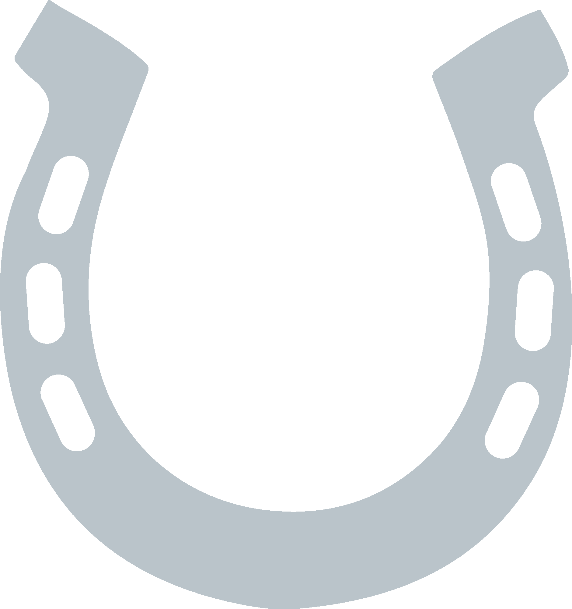 Horseshoe