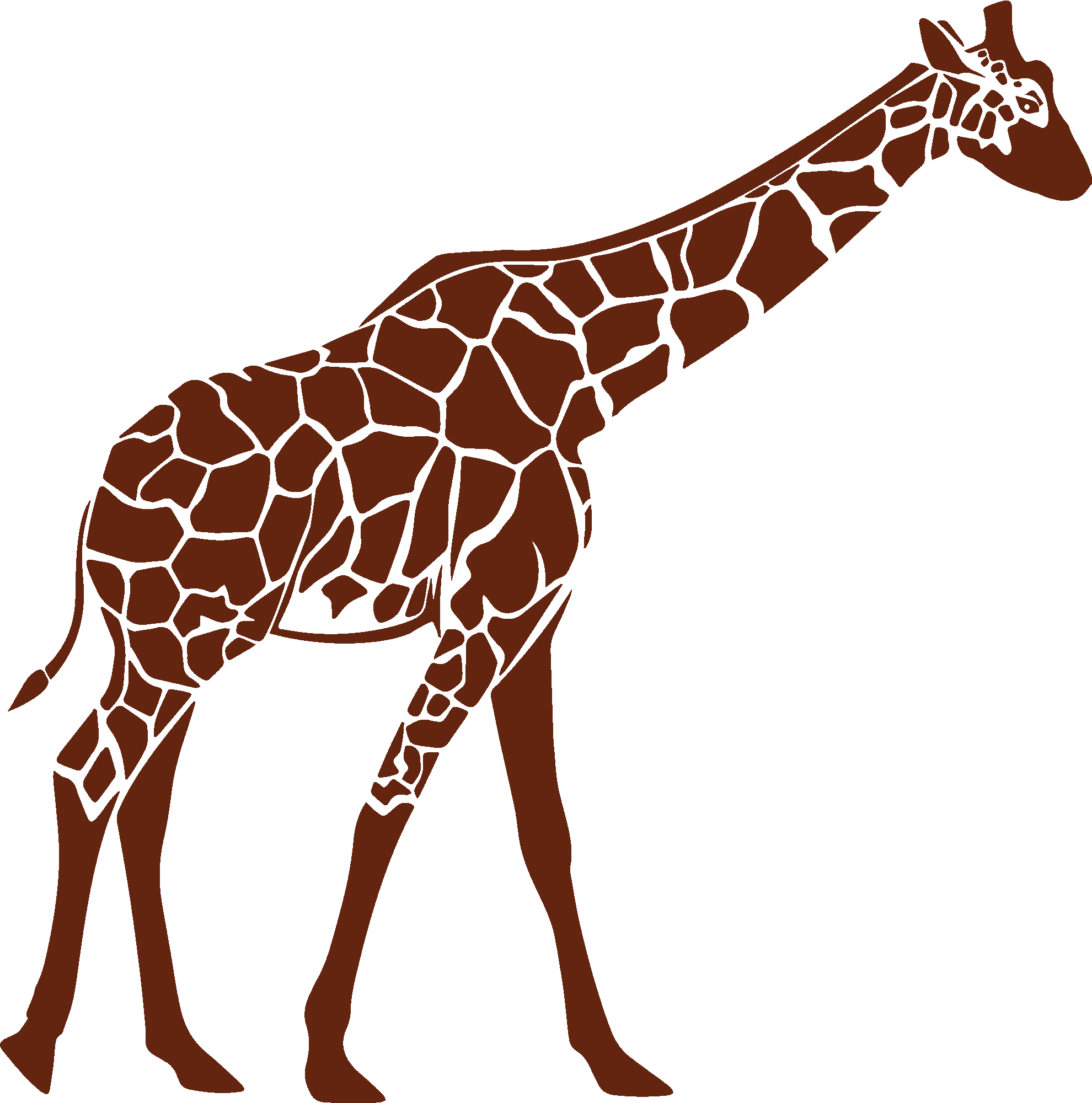Giraffe Illustration