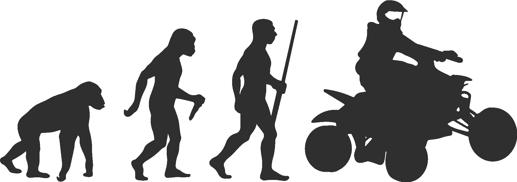 Quad Evolution