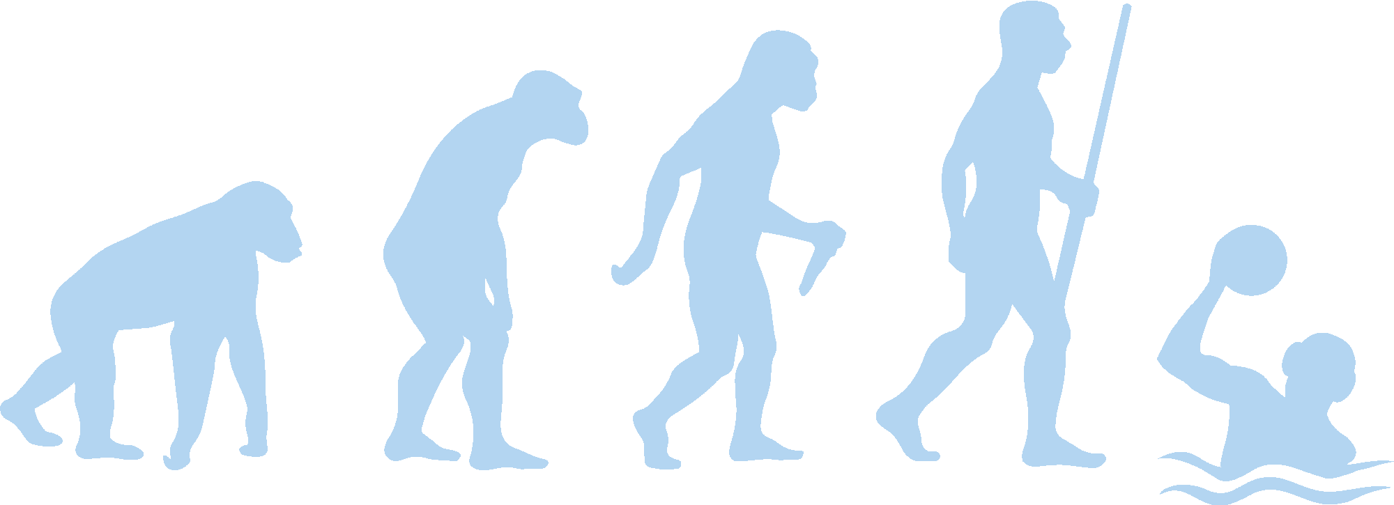 Water Polo Player Evolution
