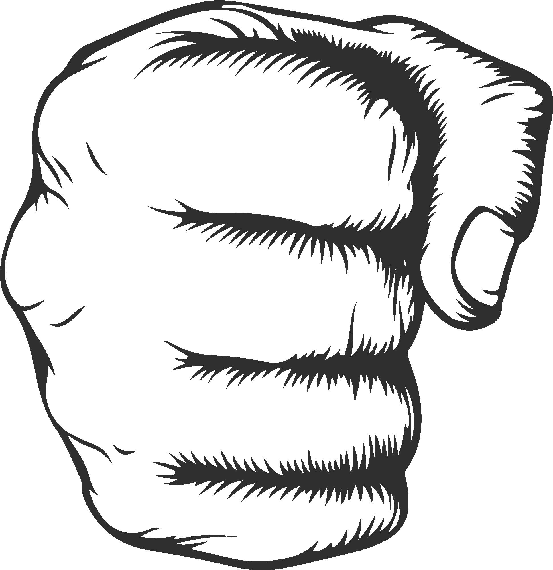 Fist
