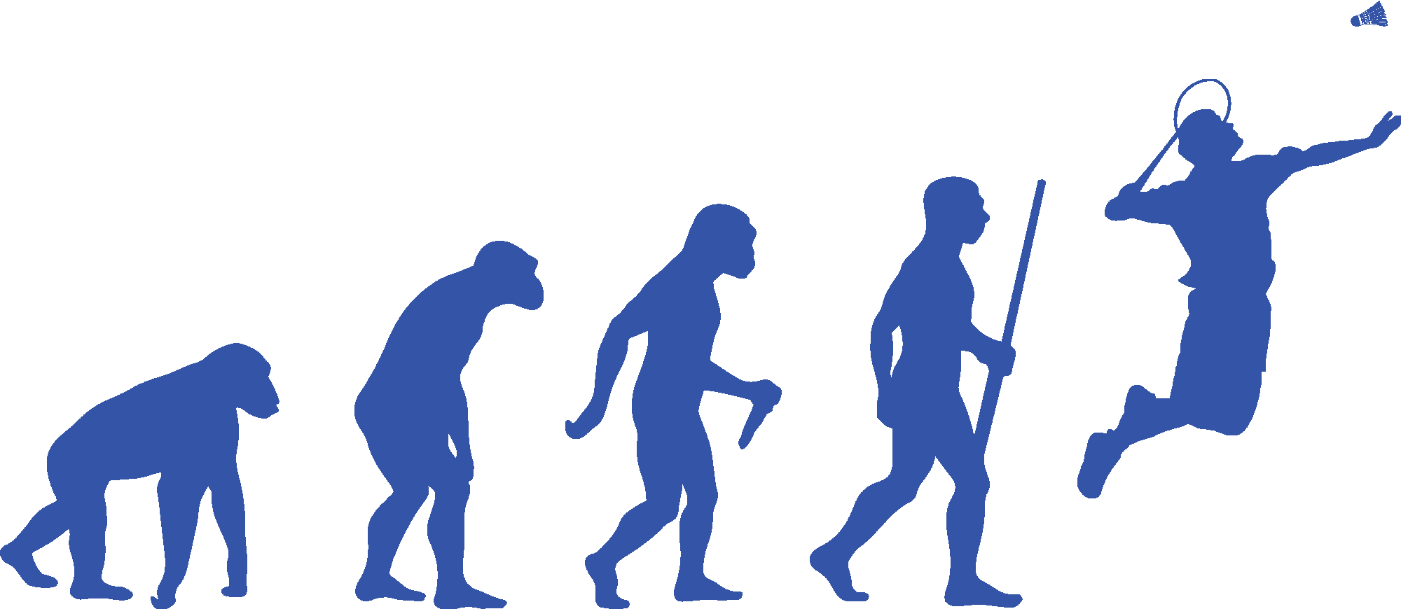 Badminton Evolution