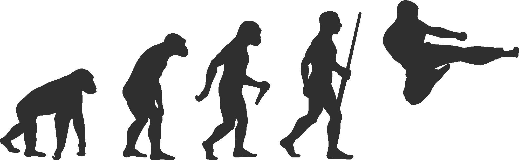 Karate Evolution