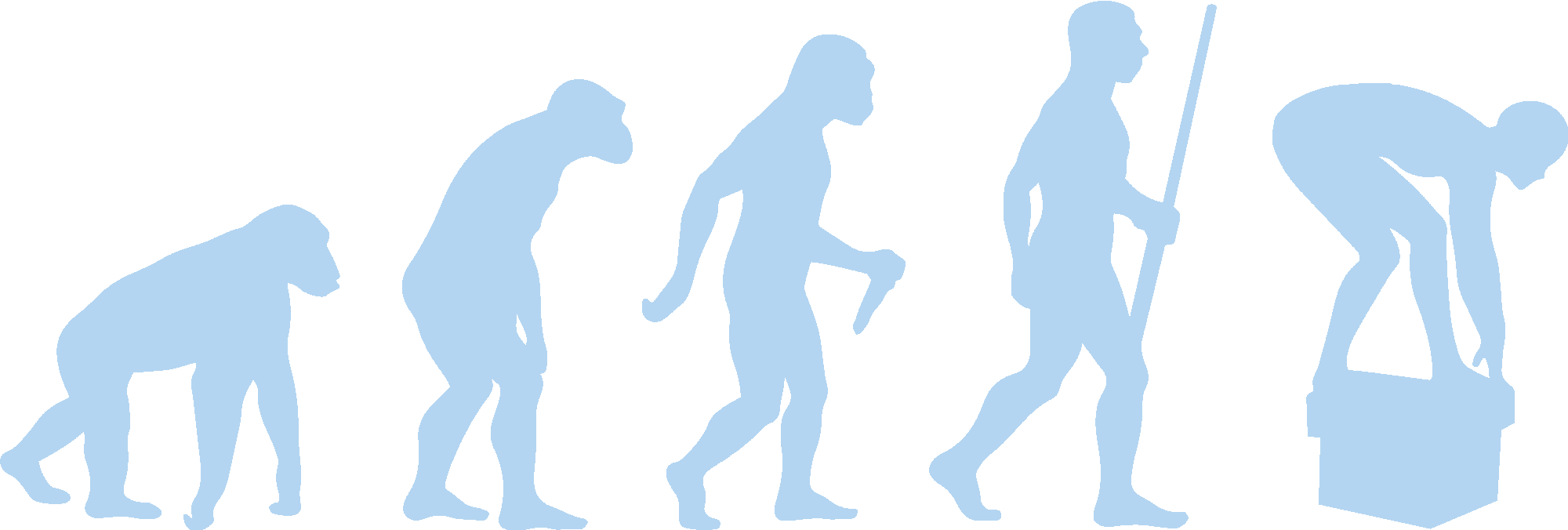 Swimming Evolution Humour