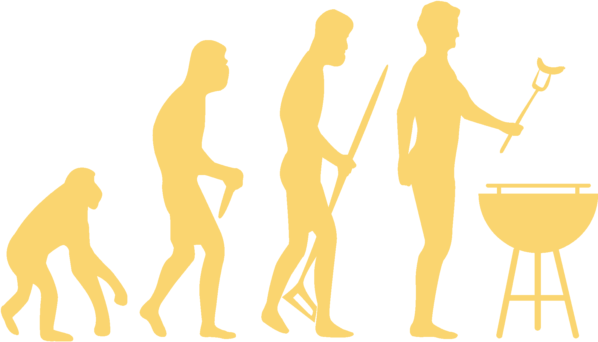 Grill Evolution