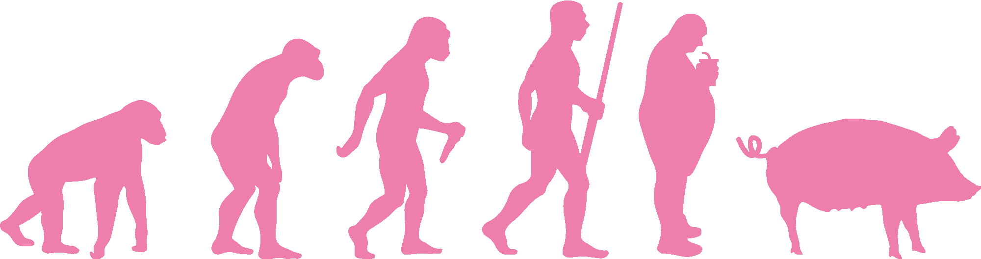 Evolution Of Pigs