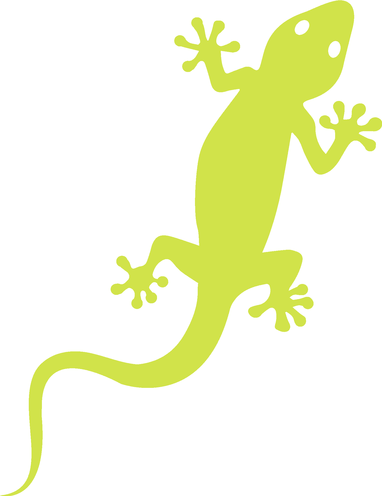 Gecko Silhouette