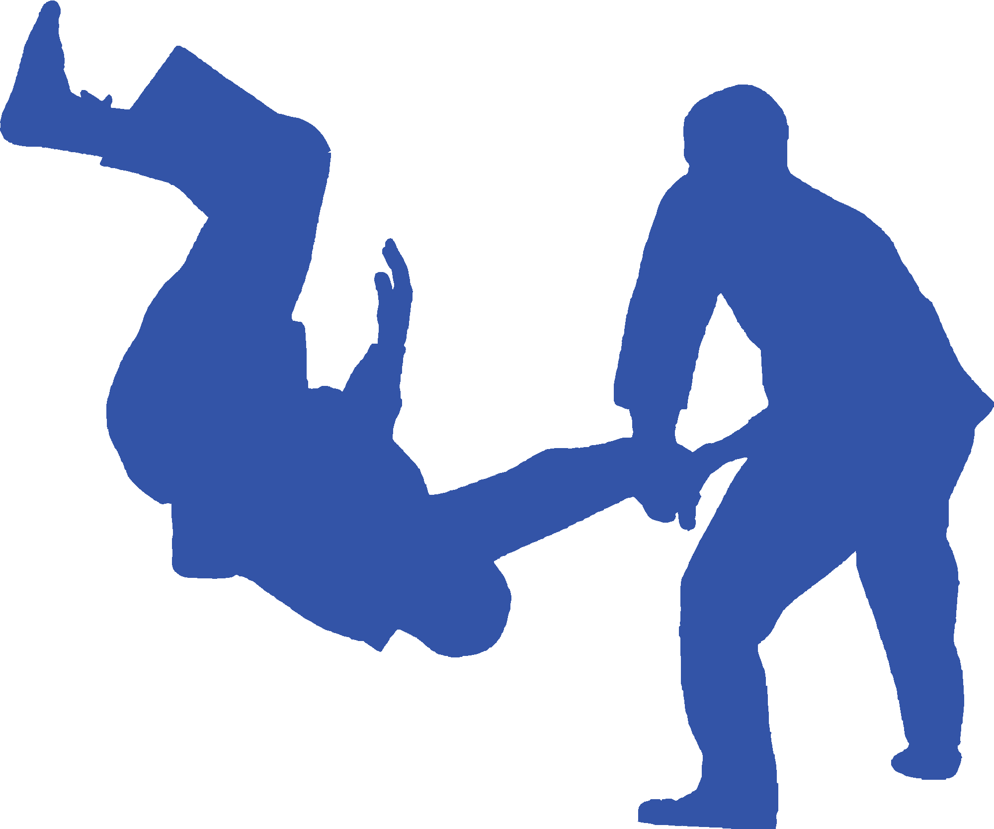 Judo Scene