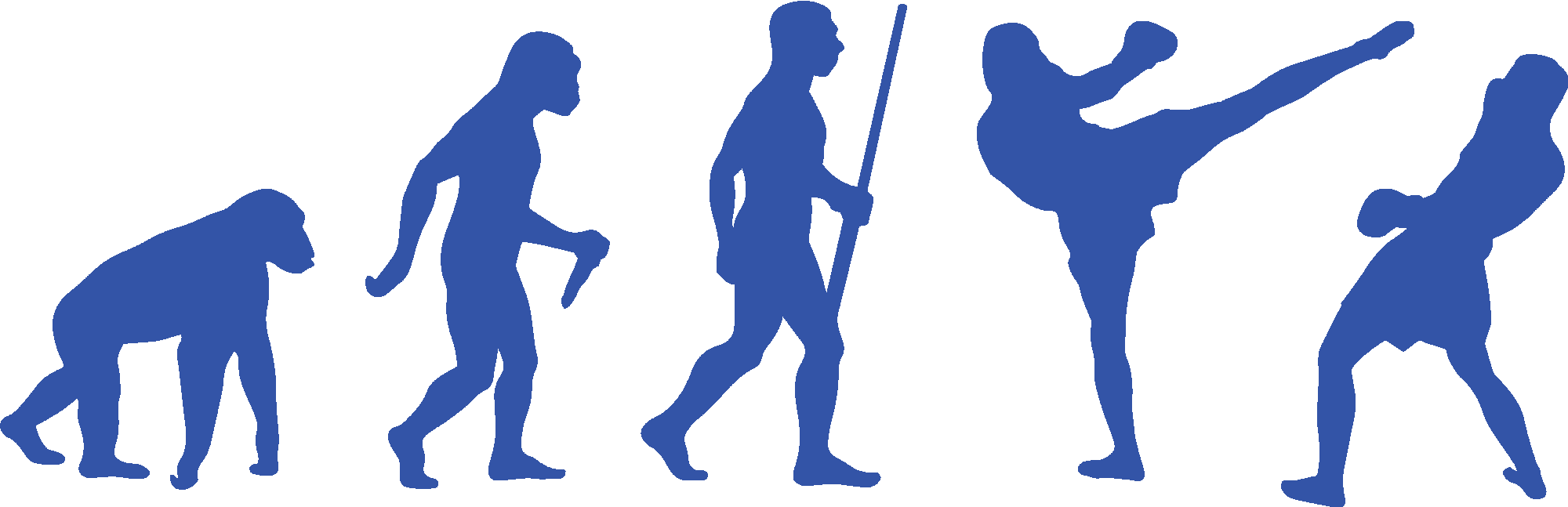 Muay Thai Evolution