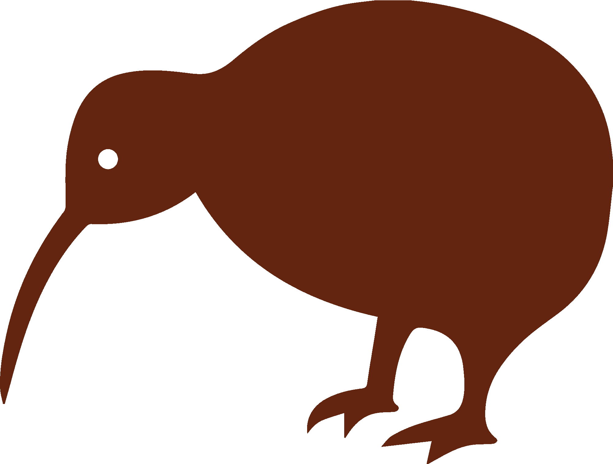 Kiwi Bird