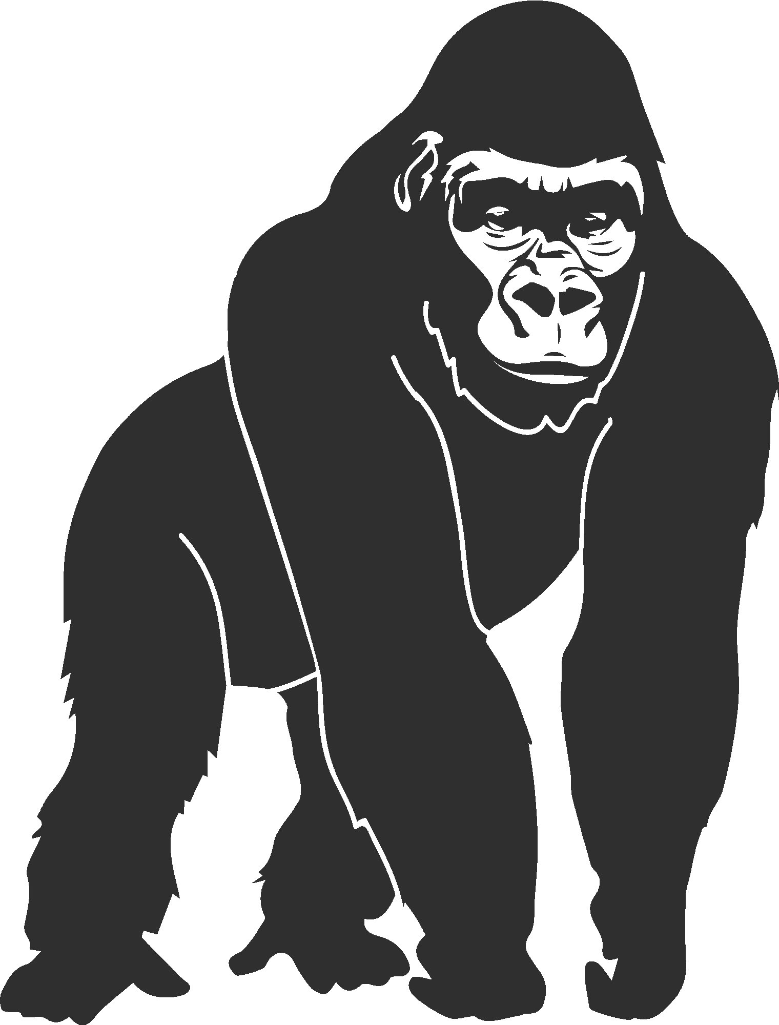 Gorilla Silhouette